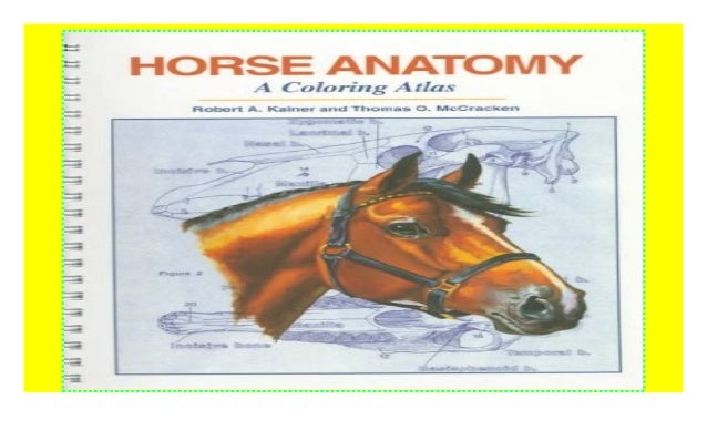 Horse Anatomy : A Coloring Atlas